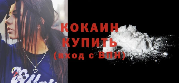 дмт Лабытнанги