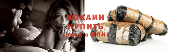 дмт Лабытнанги