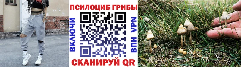купить  сайты  Михайловка  гидра сайт  Галлюциногенные грибы ЛСД 