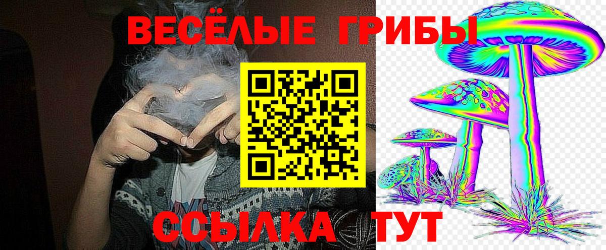 MDMA  Cocaine  МАРИХУАНА  Вход с VPN  Cocaine  Михайловка  A PVP СК   Мефедрон   Где найти наркотики?  Гашиш 