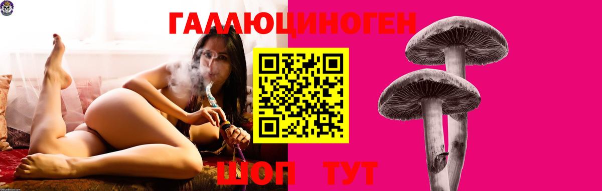 Галлюциногенные грибы мухоморы  Михайловка  Псилоцибиновые грибы Magic Shrooms 