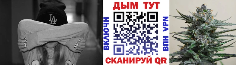 Конопля планчик  дарнет шоп  Михайловка 